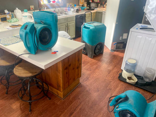 Best Water damage restoration company  in Garner, NC
