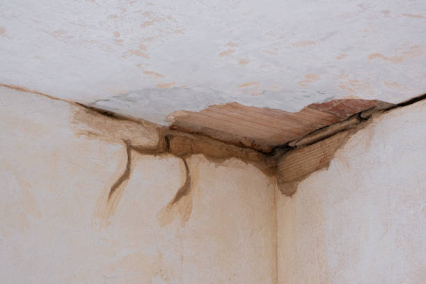 Water damage restoration mold remediation in Garner, NC