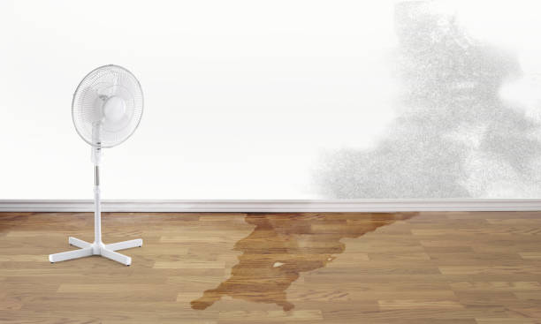 Best Water damage restoration near me  in Garner, NC